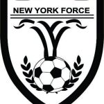 NEW YORK FORCE SHIELD