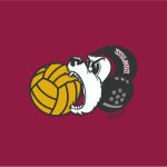 WILSON BEAR HEAD 1