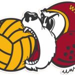 WILSON BEAR HEAD 3