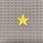 MLS CHAMPIONSHIP GOLD STAR