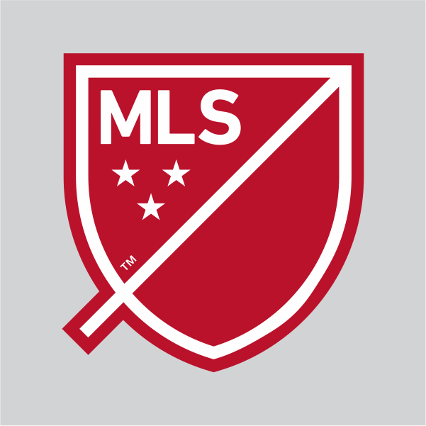3. NY RED BULLS AWAY SLEEVE BADGE 22
