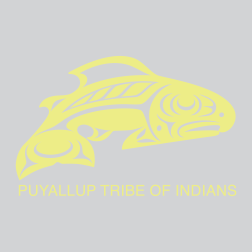 8. SEATTLE SOUNDERS PUYALLUP TRIBE OF INDIANS SLEEVE SPONSOR