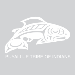 9. SEATTLE SOUNDERS PUYALLUP TRIBE OF INDIANS WHITE SLEEVE SPONSOR