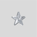 MLS CHAMPIONSHIP SILVER STAR