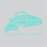 SEATTLE SOUNDERS – ENERGY AQUA PUYALLUP TRIBE MLS SLEEVE SPONSOR AWAY