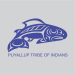 SEATTLE SOUNDERS CUSTOM INDIGO  - PUYALLUP MLS SLEEVE SPONSOR THIRD KIT 2025